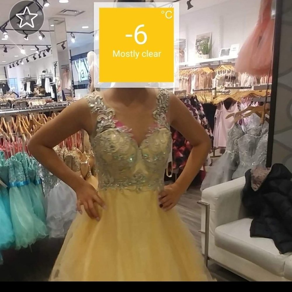 grad/ prom dress
